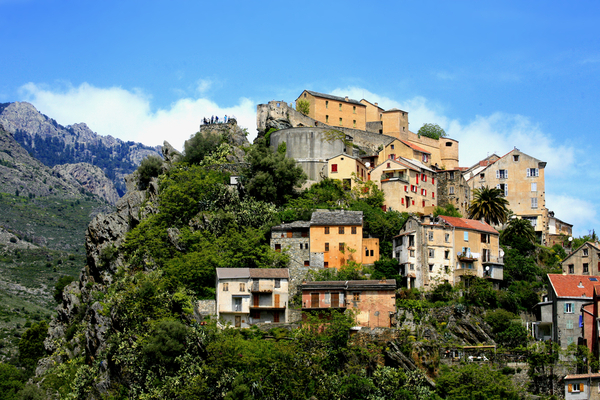 You are currently viewing Crédit d’impôt pour investissements en Corse : pour les hangars agricoles ?