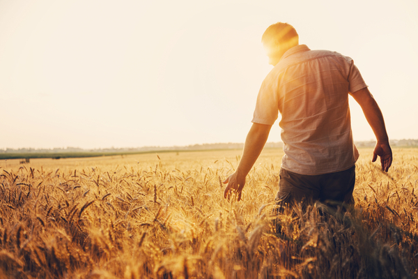Lire la suite à propos de l’article Agriculteurs : du nouveau concernant vos prestations sociales !