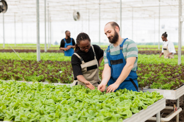 Lire la suite à propos de l’article Loi Egalim 3 : de nouvelles évolutions en faveur des agriculteurs
