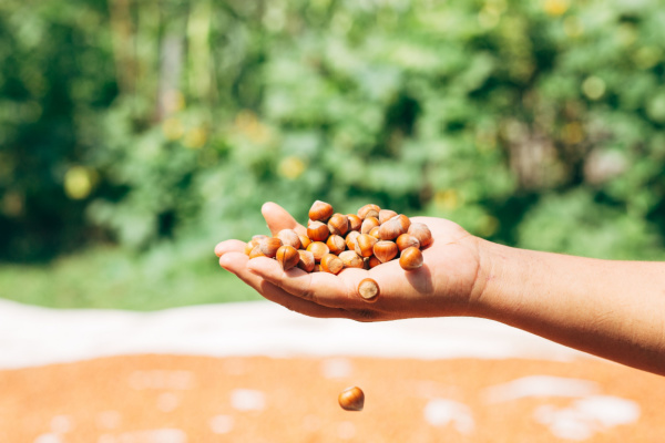 Lire la suite à propos de l’article Aide financière pour les agriculteurs biologiques : un délai supplémentaire !