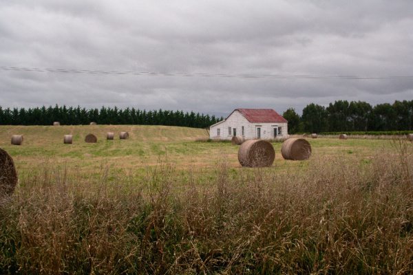 Lire la suite à propos de l’article Bail rural : une résiliation toujours possible ?
