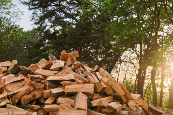 Lire la suite à propos de l’article TVA pour le bois de chauffage : une forêt dense !