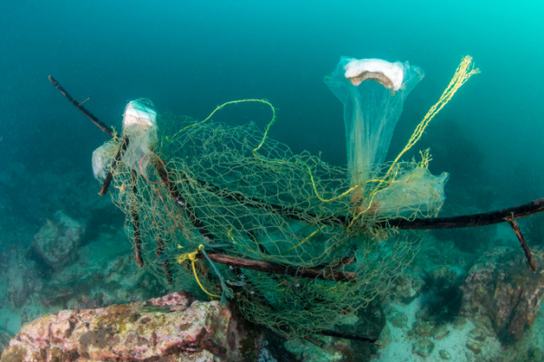 Lire la suite à propos de l’article Pêche durable : création d’une plateforme web pour mieux informer les pêcheurs