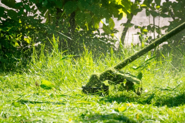 Lire la suite à propos de l’article Débroussaillement 2024 : de nouvelles précisions…