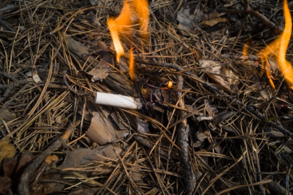 Lire la suite à propos de l’article Prévention des incendies de forêts : la responsabilité élargie des producteurs (REP) du tabac est mise au travail !