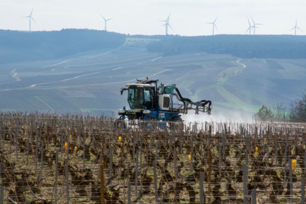 Lire la suite à propos de l’article Certiphytos : une durée de validité prorogée d’un an ?