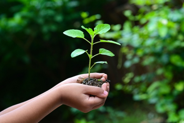 Lire la suite à propos de l’article CSRD : comprendre pour mieux se préparer