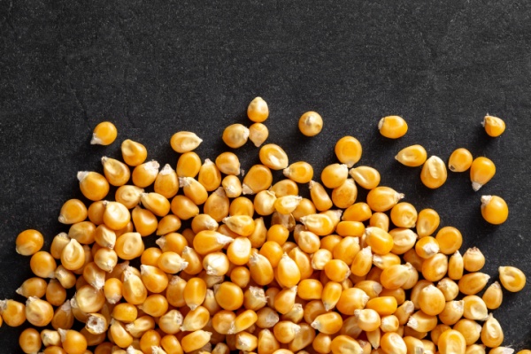 Lire la suite à propos de l’article C’est l’histoire d’une société qui, faute de travail, pense pouvoir échapper à la taxe foncière…