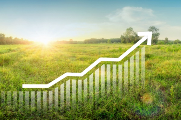 Lire la suite à propos de l’article Taxe sur la cession à titre onéreux d’un terrain nu devenu constructible : du nouveau pour 2025 !