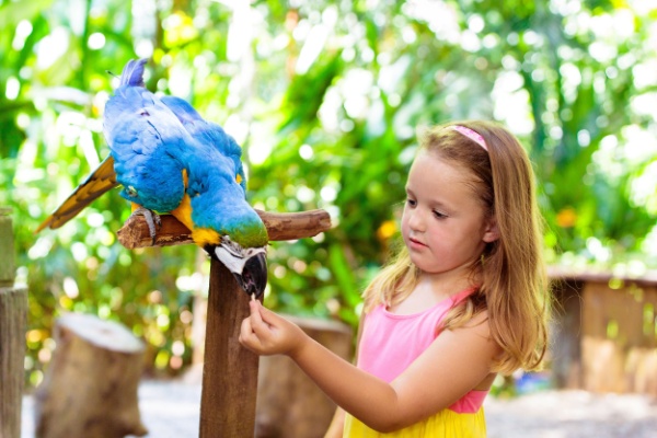 Lire la suite à propos de l’article Parcs zoologiques : vers une fin du taux réduit de TVA ?