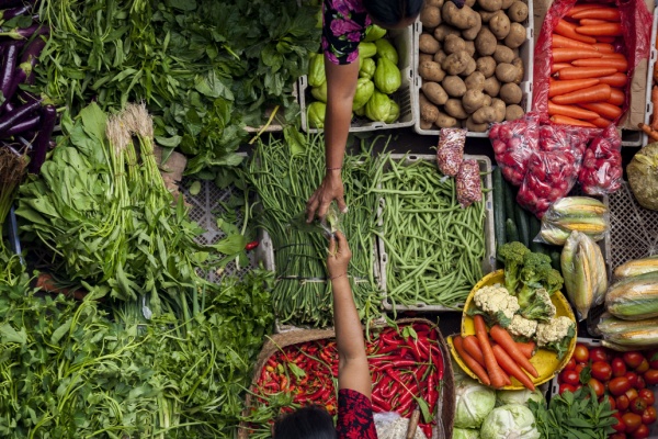 Lire la suite à propos de l’article Loi sur la stabilité économique et la compétitivité du secteur agroalimentaire : quelles nouveautés ? 