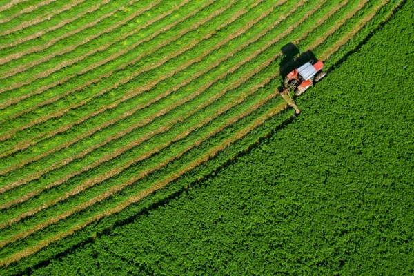 Lire la suite à propos de l’article Souveraineté alimentaire : du nouveau ?