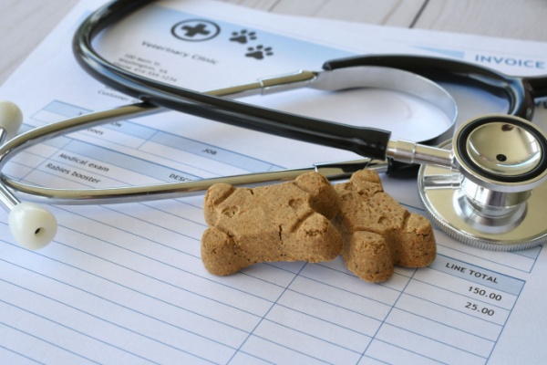 Lire la suite à propos de l’article Frais de vétérinaires et d’alimentation animale : une révision de la TVA en vue pour les SPA ?