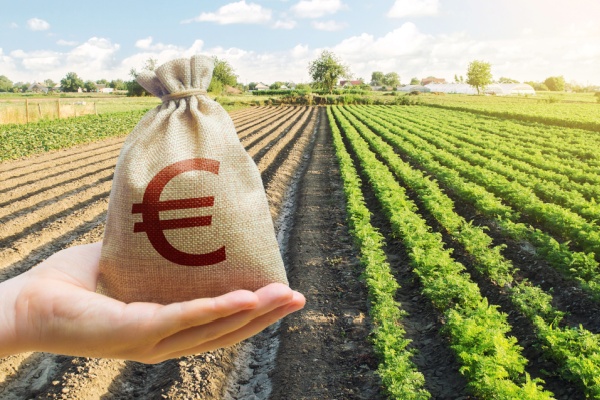 Lire la suite à propos de l’article Aides à l’installation des jeunes agriculteurs : précisions sur les sanctions