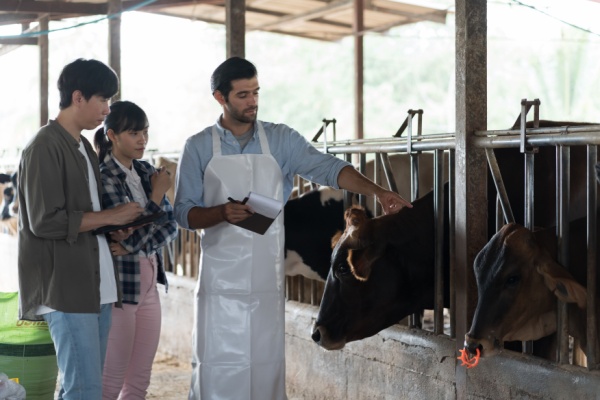 Lire la suite à propos de l’article Travailleurs agricoles : une nouvelle aide à la promotion collective agricole
