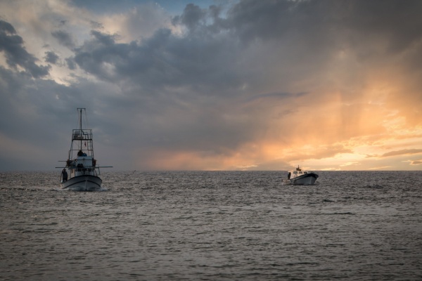 Lire la suite à propos de l’article Licence de pêche européenne : rester actif pour conserver ses droits