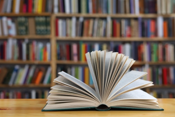 Lire la suite à propos de l’article Indice de la production dans l’édition – Année 2025