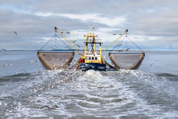 Lire la suite à propos de l’article Déclaration des activités de pêche : passage à la déclaration électronique ?