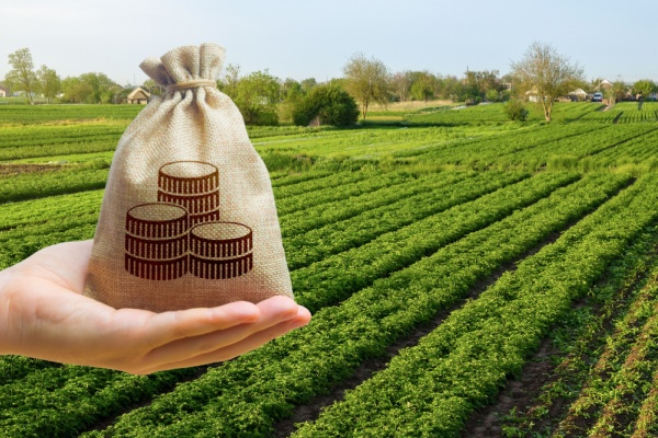 Lire la suite à propos de l’article Impôts et taxes pour le secteur agricole : ce qui va changer en 2026