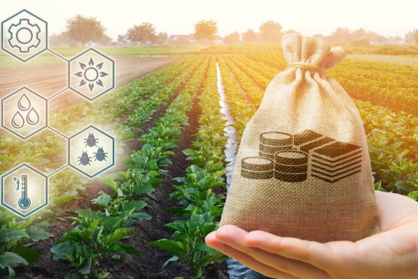 Lire la suite à propos de l’article Agriculture à Saint-Pierre-et-Miquelon : une aide à l’installation possible