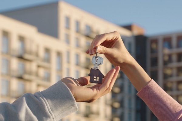 Lire la suite à propos de l’article Prescription acquisitive à Mayotte : un délai raccourci