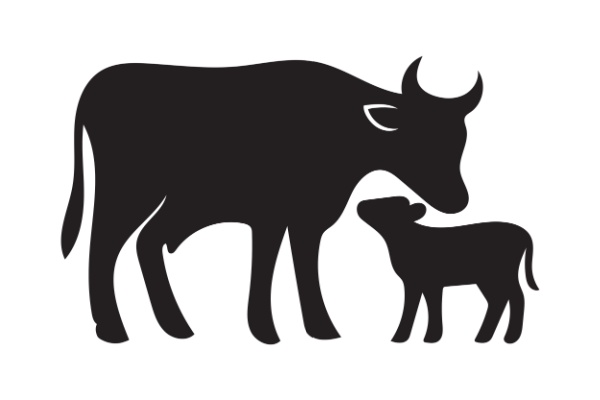 Lire la suite à propos de l’article Secteur agricole : le point sur les aides en juin 2026