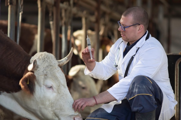 Lire la suite à propos de l’article Agriculture : le point sur les épidémies