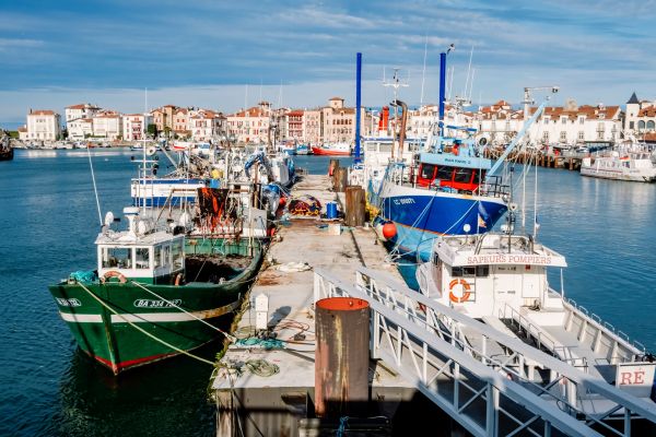 Lire la suite à propos de l’article Retour de pêche : des obligations déclaratives à respecter
