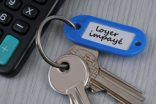 Lire la suite à propos de l’article Expulsion locative pour impayé : réalisation obligatoire d’un diagnostic social et financier