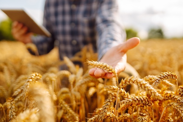 Lire la suite à propos de l’article Cotisations agricoles : du nouveau pour le calcul en 2027