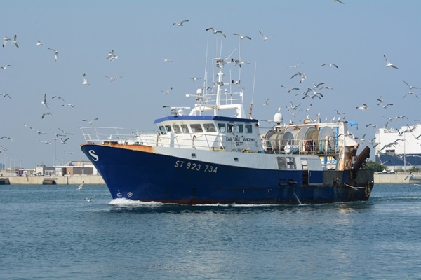 Lire la suite à propos de l’article Entreprises de pêche : nouvelle période d’aide